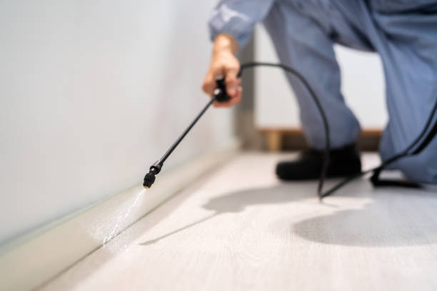 Certified termite inspector examining foundation in Jonesville