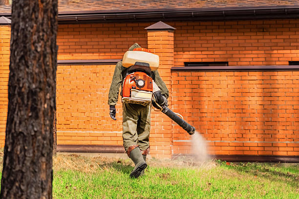 Top rated local Mosquito Control specialists in Jonesville, VA